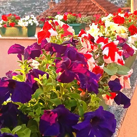 Appartamento Garden Free Parking SJJ Esterno foto