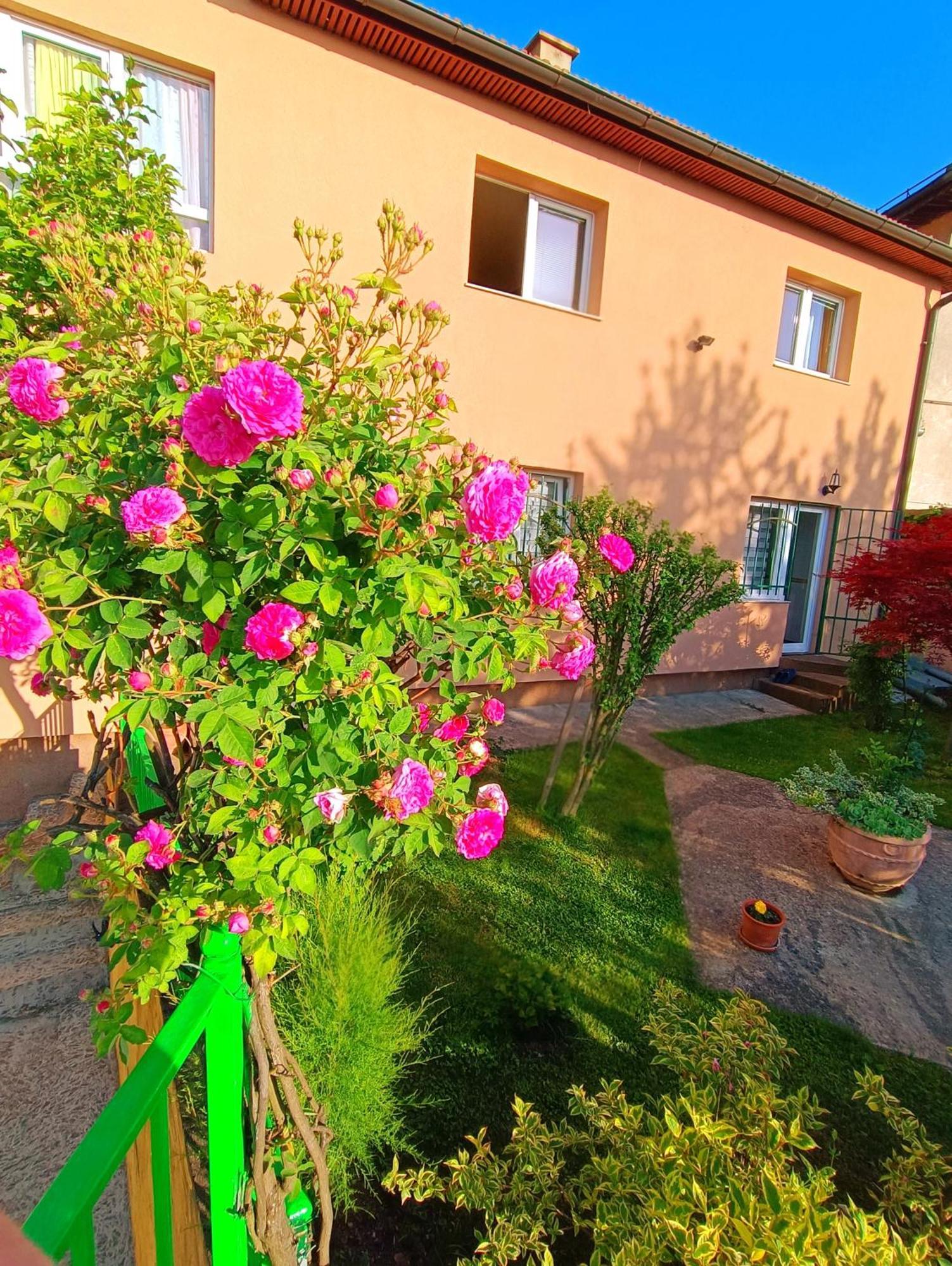 Appartamento Garden Free Parking SJJ Esterno foto