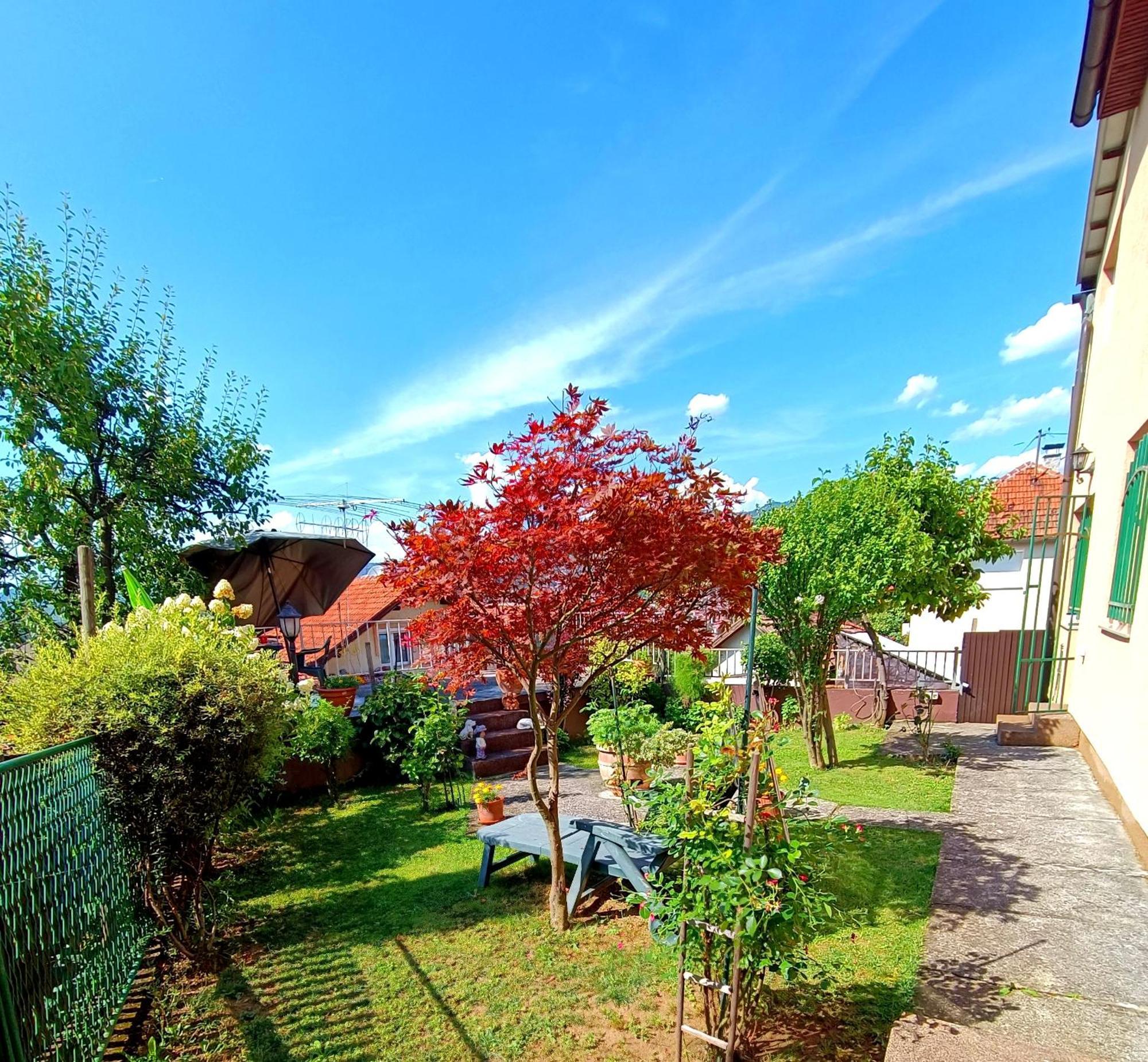 Appartamento Garden Free Parking SJJ Camera foto