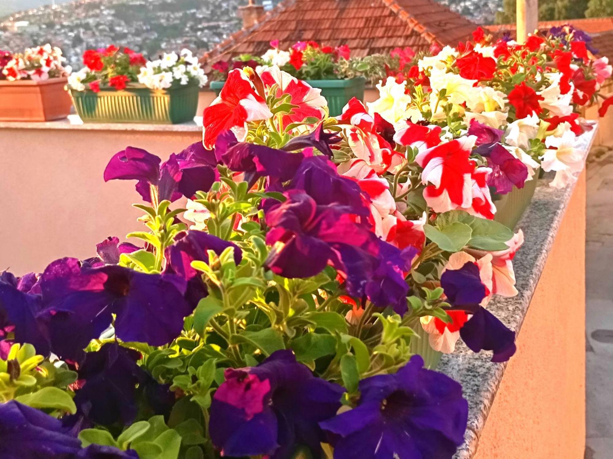 Appartamento Garden Free Parking SJJ Esterno foto