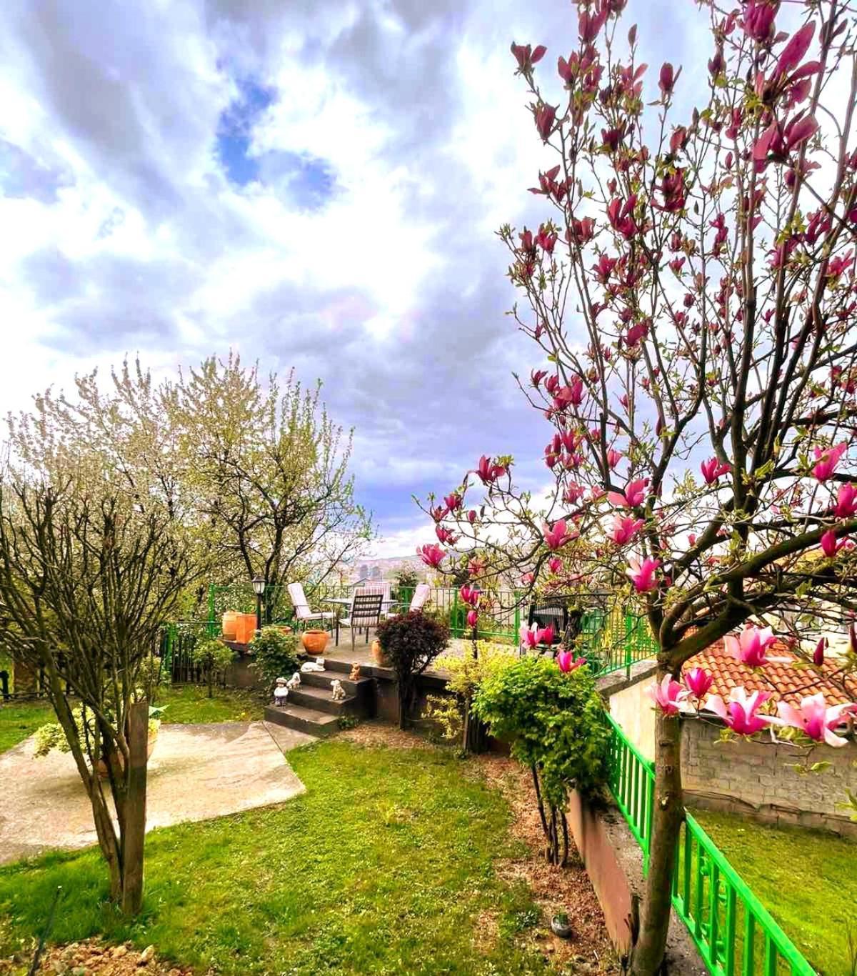 Appartamento Garden Free Parking SJJ Esterno foto