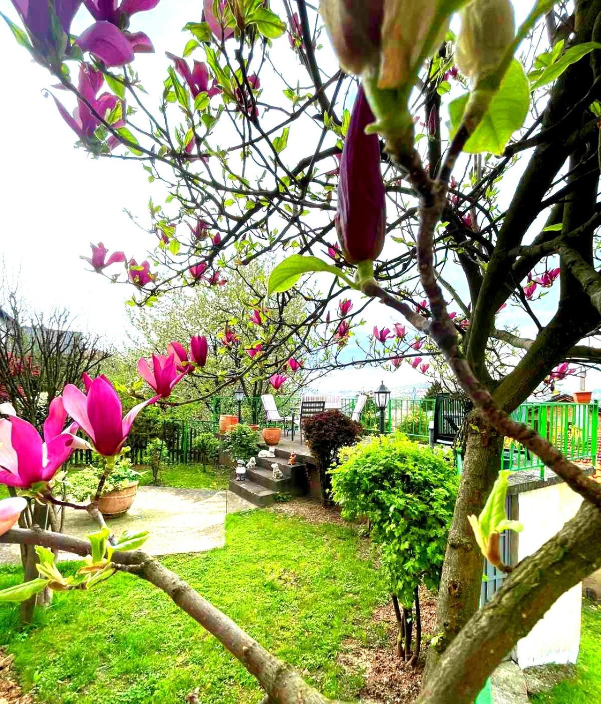 Appartamento Garden Free Parking SJJ Esterno foto